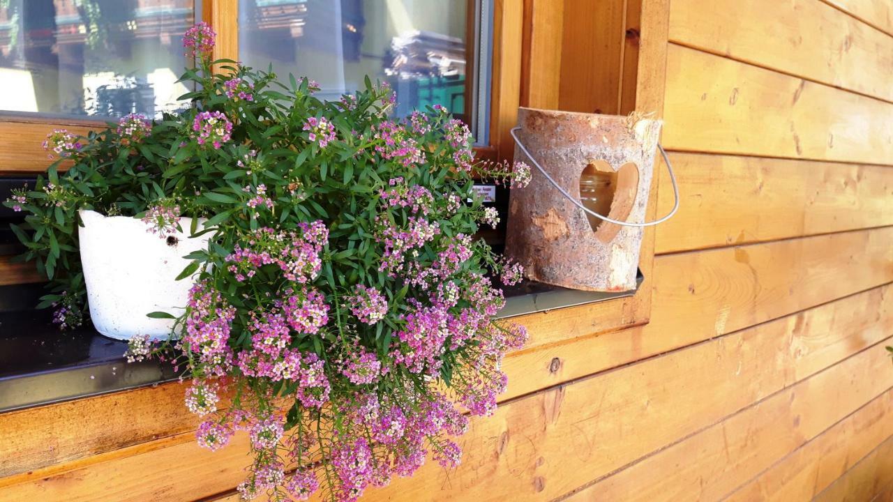 Landhaus Sonnenschein Schladming Luaran gambar